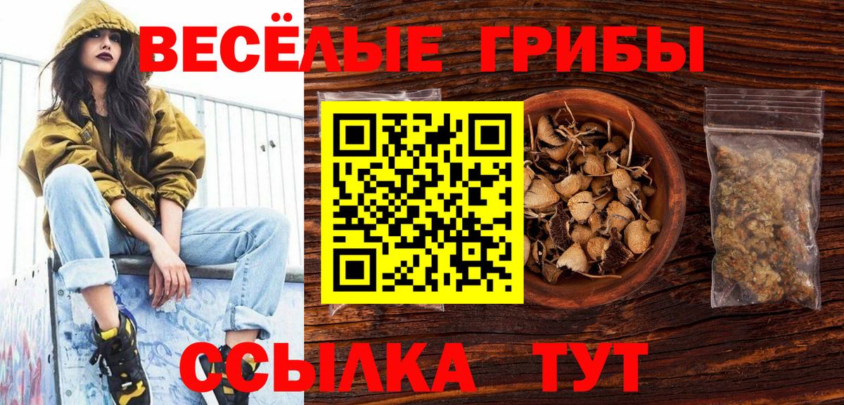 Шали  Галлюциногенные грибы Cubensis  купить наркотик  Галлюциногенные грибы MAGIC MUSHROOMS  Вход с VPN 